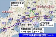 090706root.jpg