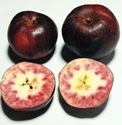 091124apple.jpg