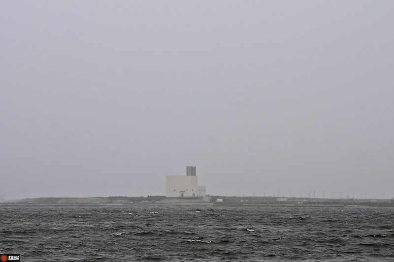DSC_5557.jpg