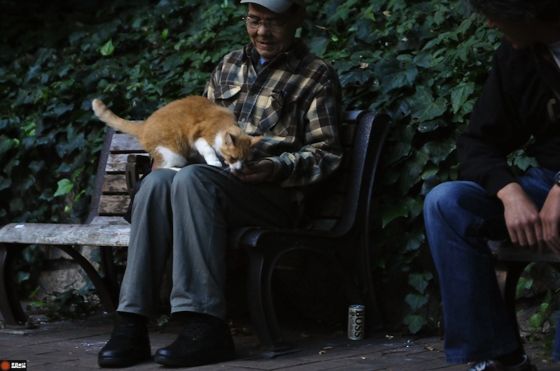 DSC_5582.jpg