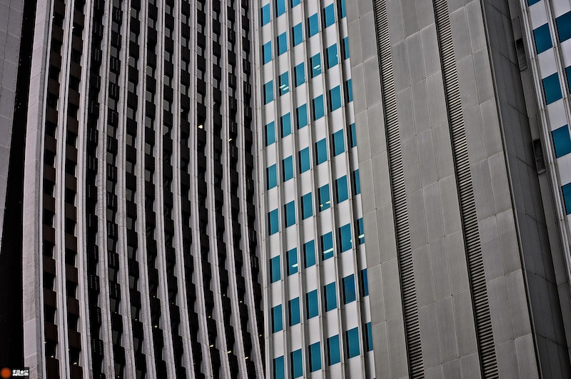 DSC_7240.jpg
