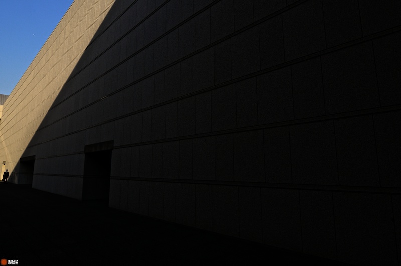 DSC_8145.jpg