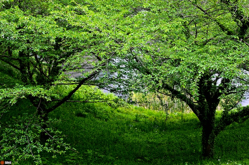 DSC_9324.jpg